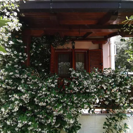Apartments Maris Garden Petrovac Exterior photo