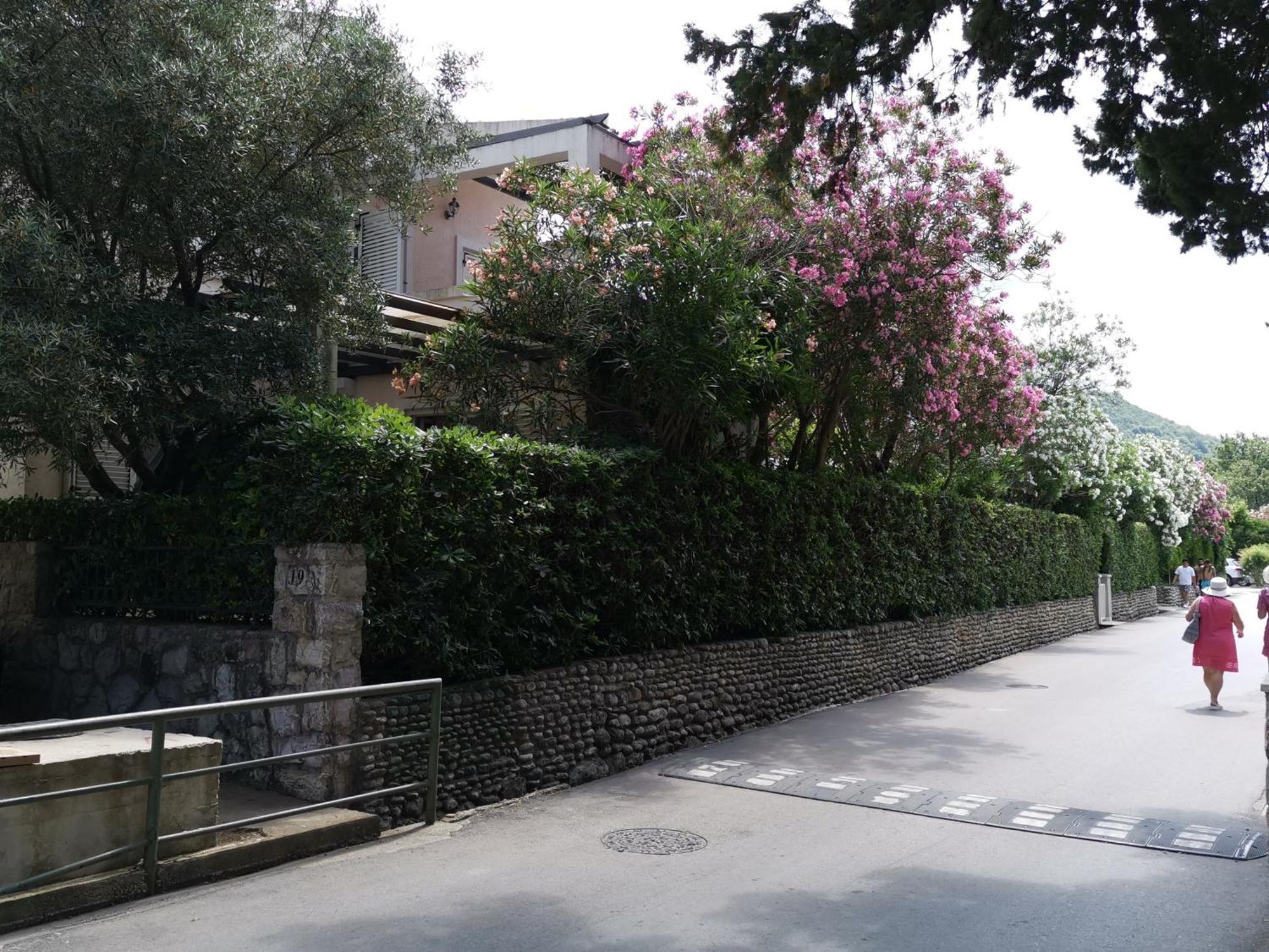 Maris Garden