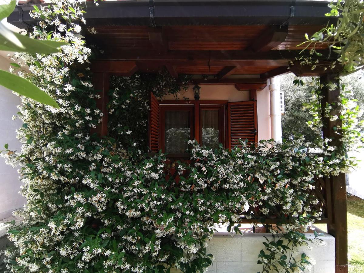 Appartement Maris Garden *