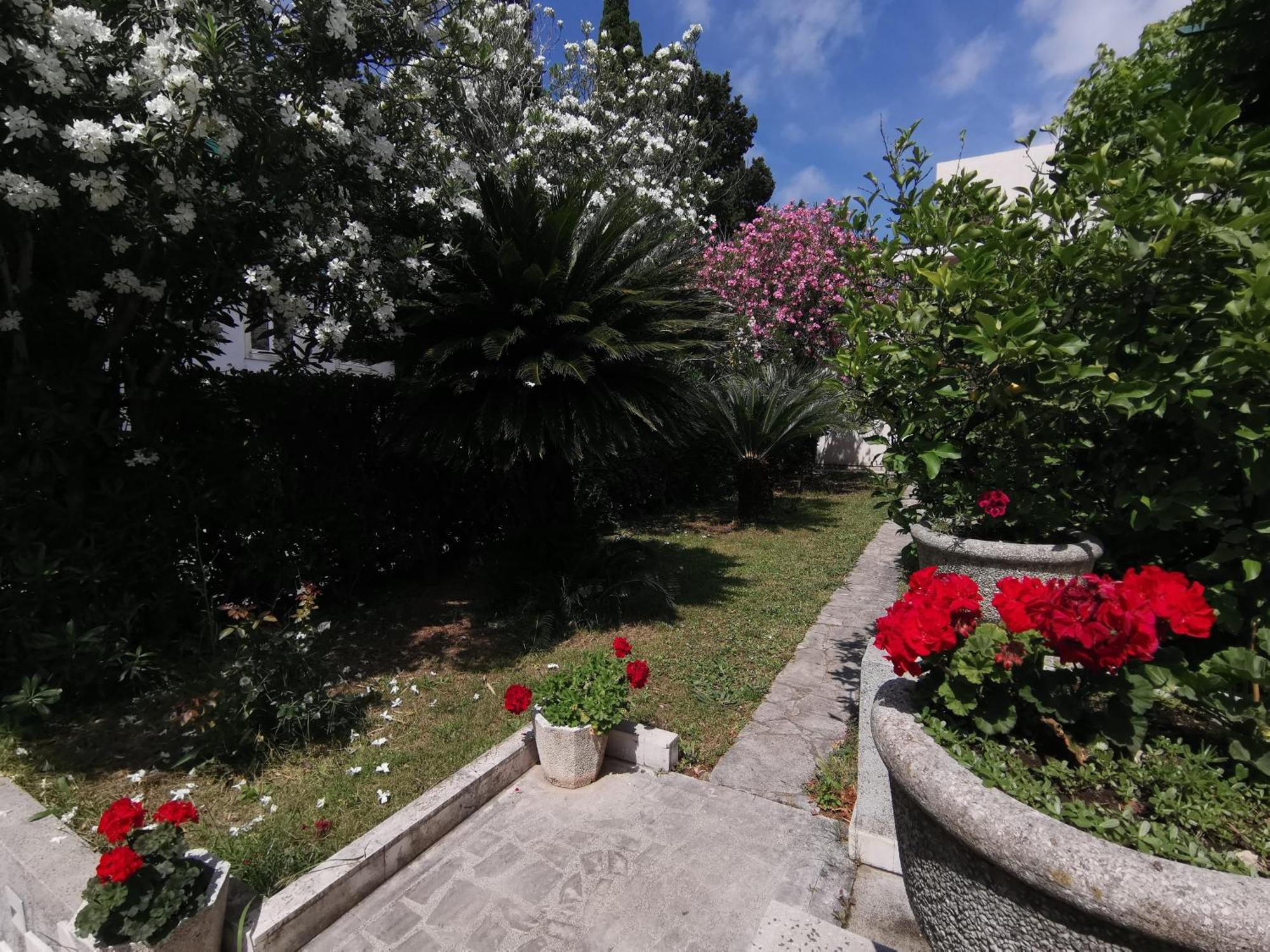 Appartement Maris Garden